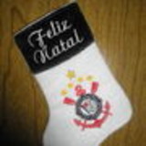 Cecilia Beatriz Nicolu Coelho