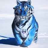 paulo henrique da silva