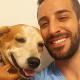 Saulo Quina Veterinário