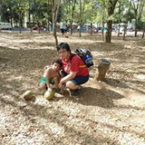 SIDINEIA DE FATIMA SOARES PANTOJA ALHO