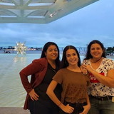 fernanda ferreira alves