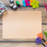 Camila Lima de Sousa Delazari Perazzolli