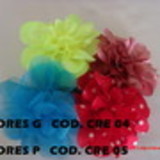 Almerinda Cristina Gama Batista