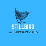 Still Bird