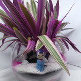 Andréa Magalhães Cano