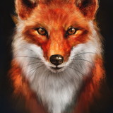 LARISSA ELLEN OLIVEIRA LIMA