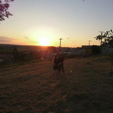 Samantha Cristina Gomes