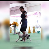 Andria Aparecida Florentina e Silva