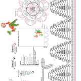 Tania Regina Nunes Fiorin