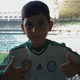 FLAVIA HENRIQUE DE OLIVEIRA LIMA