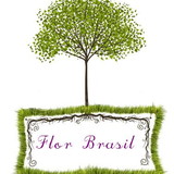 Flor Brasil Decoração e Paisagismo