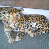 ARNALDO NUNES DE OLIVEIRA