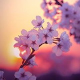 Núbia De Andrade Barbosa