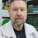 Marcus Vinicius De Santis