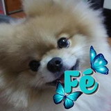 Nilva Antonieta Giollo