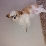 Ana Claudia dos Santos Castro