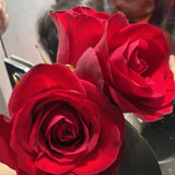 THAIS NASCIMENTO DE ARAUJO