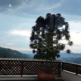 Vera Franceschina Cecconi