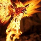 Gisele Cristina Sobrinho