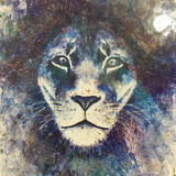 Andressa Silva Mariano