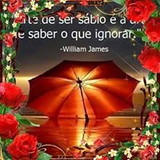 Adrianasantosdeoliveira123@gmail.com