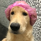 Isabelle Rocha de Aquino