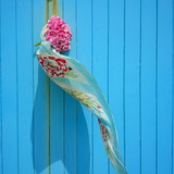 VIVIANE CRISTHYNE BINI CONTE