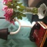 DANILO LOPES CUSTODIO