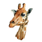 Joice Da Silva De Oliveira