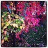 Roupa Feita - Camisas Femininas