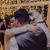 Clarissa Martins Alves Lopes