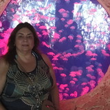 roseli de fatima fereri