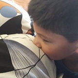 Andrea Castro Oliveira Araujo