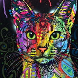 FláviaRegina de Andrade Varela