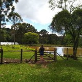 Vanessa Lopes Xavier