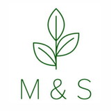 Minimalista e Sustentável