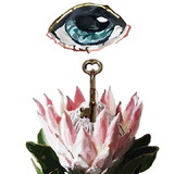 josivan pereira araujo