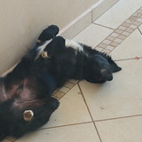 Camila Moreira de Matos