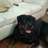 Roberto Tadeu Loureiro Resck