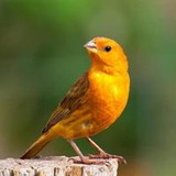 Jacqueline Bicalho Resende