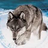 ricardo luis vieira de paula