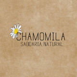 Chamomila Saboaria