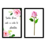 Luizita Arendartchuk