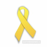 Roseane de Araújo Santos Silva