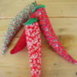 Alcione Rocha Masini