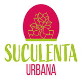 Suculenta Urbana