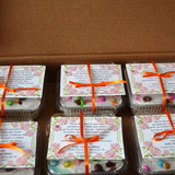 Marina Bastos Bezerra