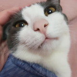 Fabiana Fonseca Avelar