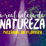 excluido_A Real Beleza Da Natureza