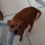 Antonia erenilda Galvão e silva